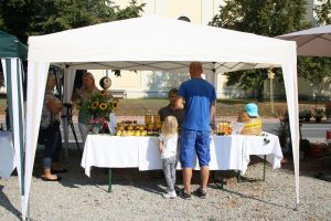 img_4356