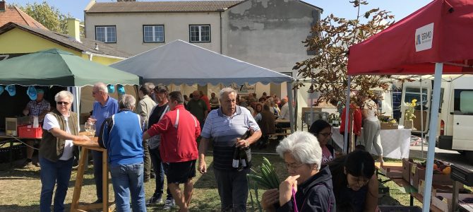 Zahlreiche Besucher am 11. Obersiebenbrunner Markt