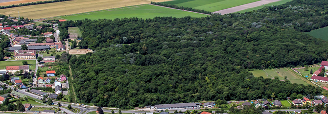 Zuständiger Bau- und Infrastrukturvorsitzender geschäftsführender Gemeinderat Thomas Mahdalicek informiert!